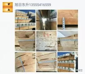 精品木材销售，履约思源不忘初心